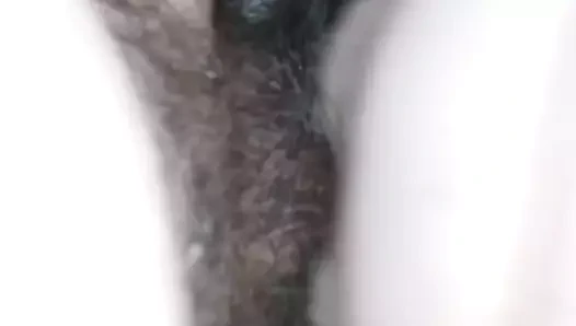 Lanet güzel tombul pembe kedi!!!