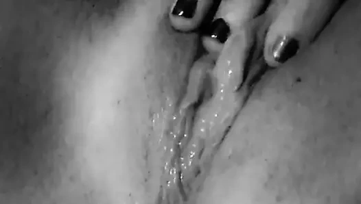 Sıcak, ıslak kedi yakın çekim