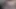 Lovenia lux ilk kez anal seksin tadını çıkarıyor