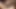 Esmer orta yaşlı seksi kadın sikiş deliğinden çıkan yarağı sırıtana kadar emiyor