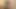 Ateşli ve seksi genç lezbiyenler birbirlerinin amını yalıyor