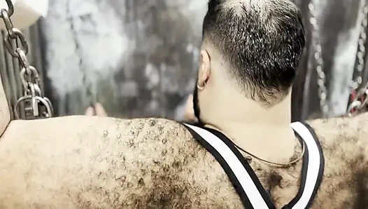 Naughty Bears rectum'da