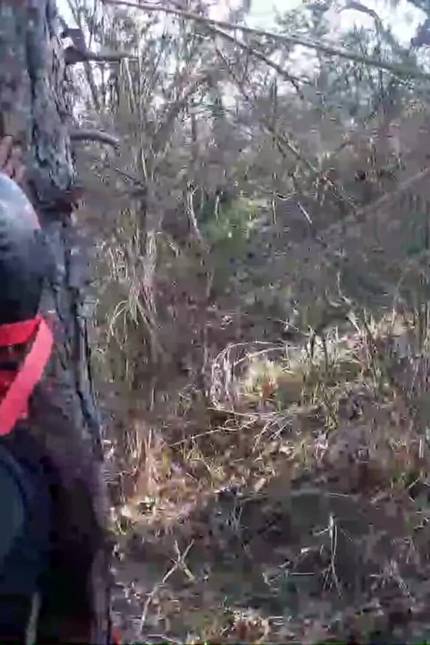 Ormanda açık havada seks. Seksi kıyafetler ve yüksek topuklu ayakkabılar giyiyor, bağlı, boğazlanıyor ve sikiliyor