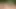 sansürsüz japon handjob parti