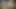 Gözlüklü çarpıcı milf eski kocasının aletini emiyor