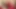Busty milf'in amı büyük siyah çük tarafından gerilir