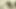 Güzel ve sıska Asyalı esmer bayanla tahrik edici fotoğraf çekimi
