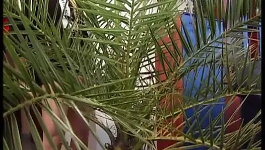 Tatlı günahkarlar - bölüm 1