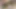 Hizmetçimin çok seksi bir vücudu var ve büyük yarağımı istiyor