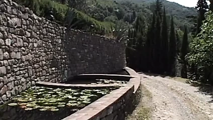 Uma Best-Cuore Di Mamma