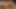 Tanya tate ve carla mai birbirlerinin İngiliz amlarını yalamak