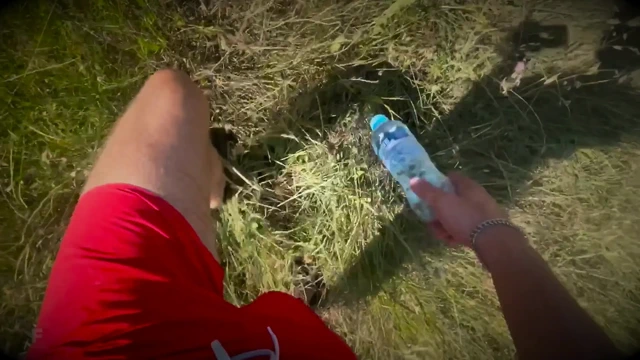 A stranger offered to take a walk in the woods. I didn't expect him to want sex, but I didn't refuse.