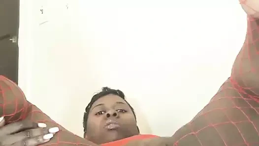 Mz güzel kedi önizleme