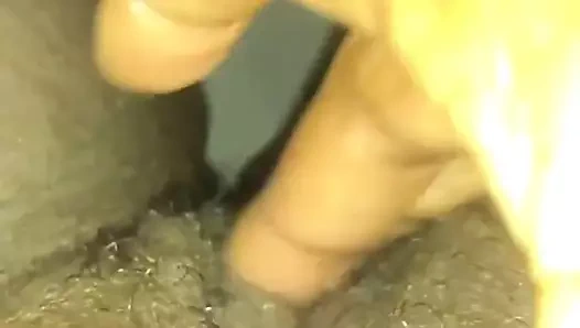 Leicestershire siyah hotty