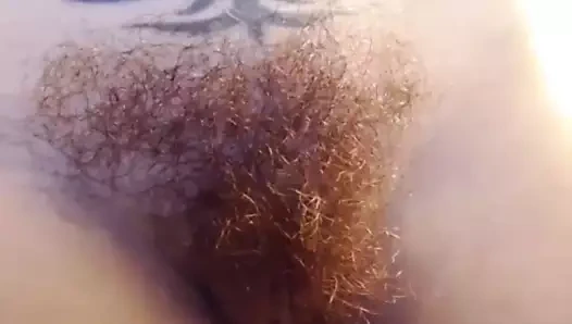 güzellik kıllı KEDİ