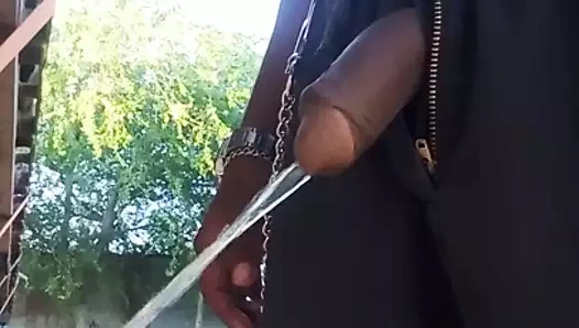 Orinando al aire libre  3-17-2020