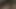 Yeni bir boğa ile