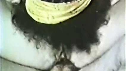 Beher'in seçimi 274