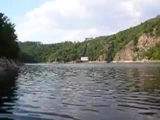 Teknede köpek stili