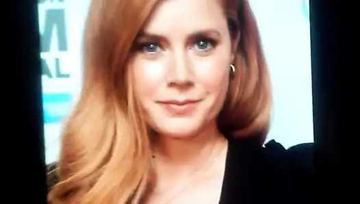 Amy adams döl haraç