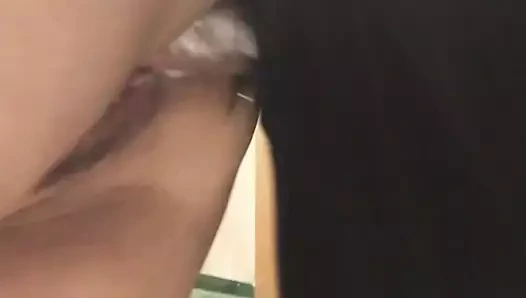 Kremsi Asya kedi köpek