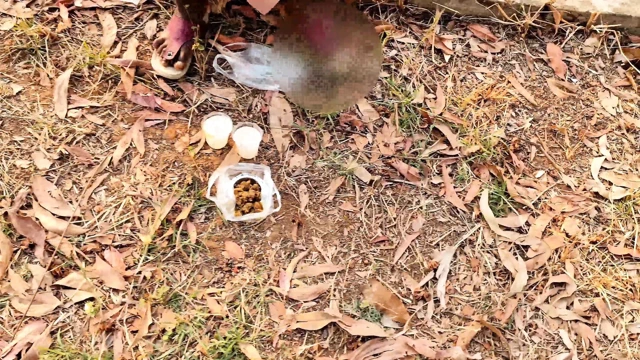 Benim parka götürüldü ve sikildi, benim çok iyi, çok eğlenceliydi.