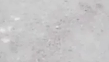 Kahverengi taytlarım yolda #1