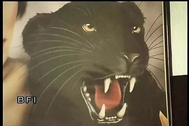 Yaşlı ve taze yumruk seviyor. Sikişiyor.