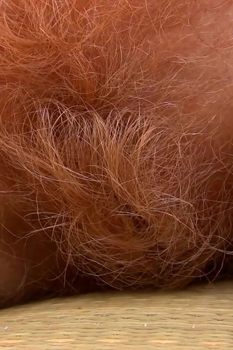Nüdizm