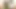 Indian Girl Trades Pussy for Family's Future and Gets Creamed  -AI Generated