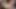 Porno hatun Abella Anderson ilk sahnelerinden birinde büyük zenci yarağını içine alıyor