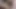 çerçeveli ayı assfucked tarafından kas damızlık