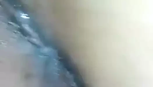 Latin alır güzel kedi yaladı ve oynadı light skin blki