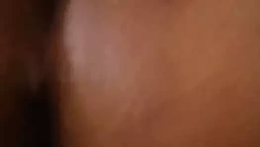 Organik kedi bir salatalık ile mastürbasyon