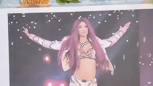 WWE Sasha Banks Cum Tribute