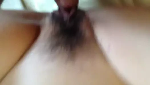 Kıllı oyuncak kedi