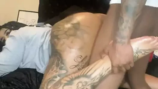 Lanet bazı taze dışarı hapis kedi