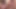 Piggy Rose büyük ayı ve lucipork ile xbiz miami'de yayın yapıyor