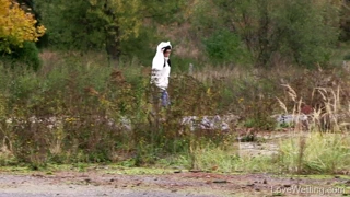 çiş fabrikası - annie