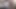 leider nicht deine fotze