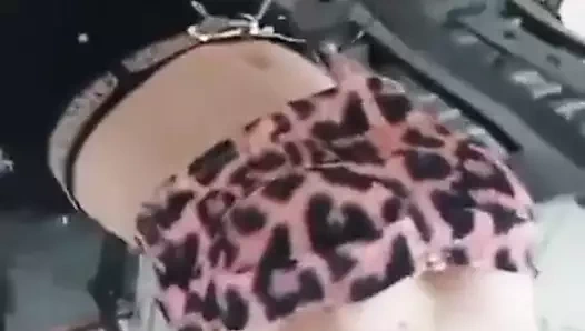 Vp03 - taşlı cardenas 79vvv