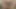 Kadın iç çamaşırlı ince Asyalı bir adamın videosu
