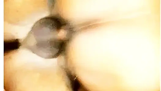 Ek pyasi bhabi gand chudai romantis hardsex