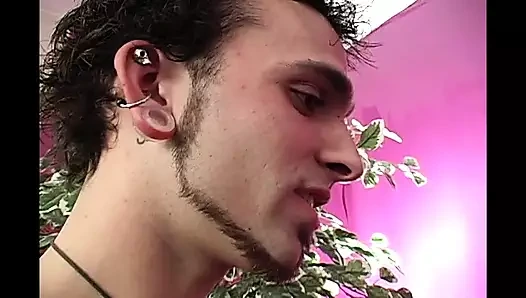 Vahşi seks 4 edepsiz Amerikalı sürtük! Cilt 5 - bölüm 5