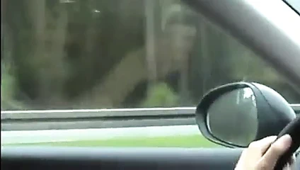 Zuzinka Çek öğrenci - araba sürerken orgazm