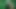 Daria bacaklar kırbaç 2711