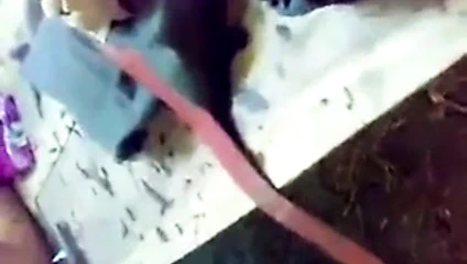 Hint adım anne becerdin