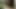 Junge Brünette masturbiert mit lila Dildo im Freien