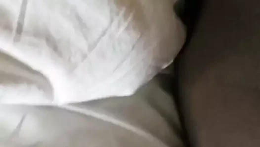 Şişman amcık