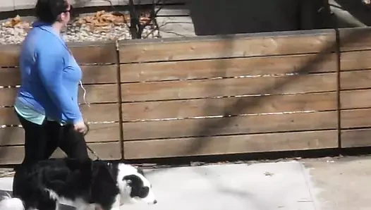 Pawg köpek gezdirici 2. gün